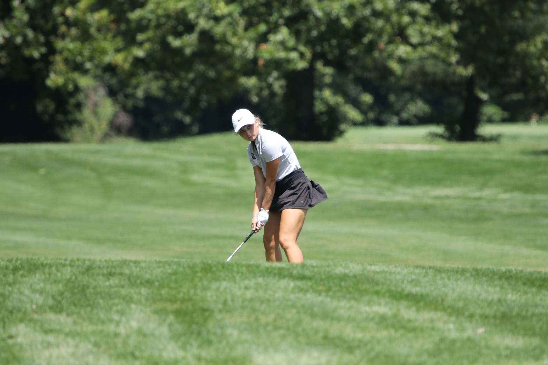 Lady Golfers Compete with Best in State