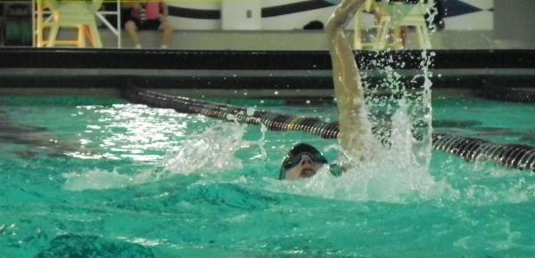 Westfield Swims Past Dogs