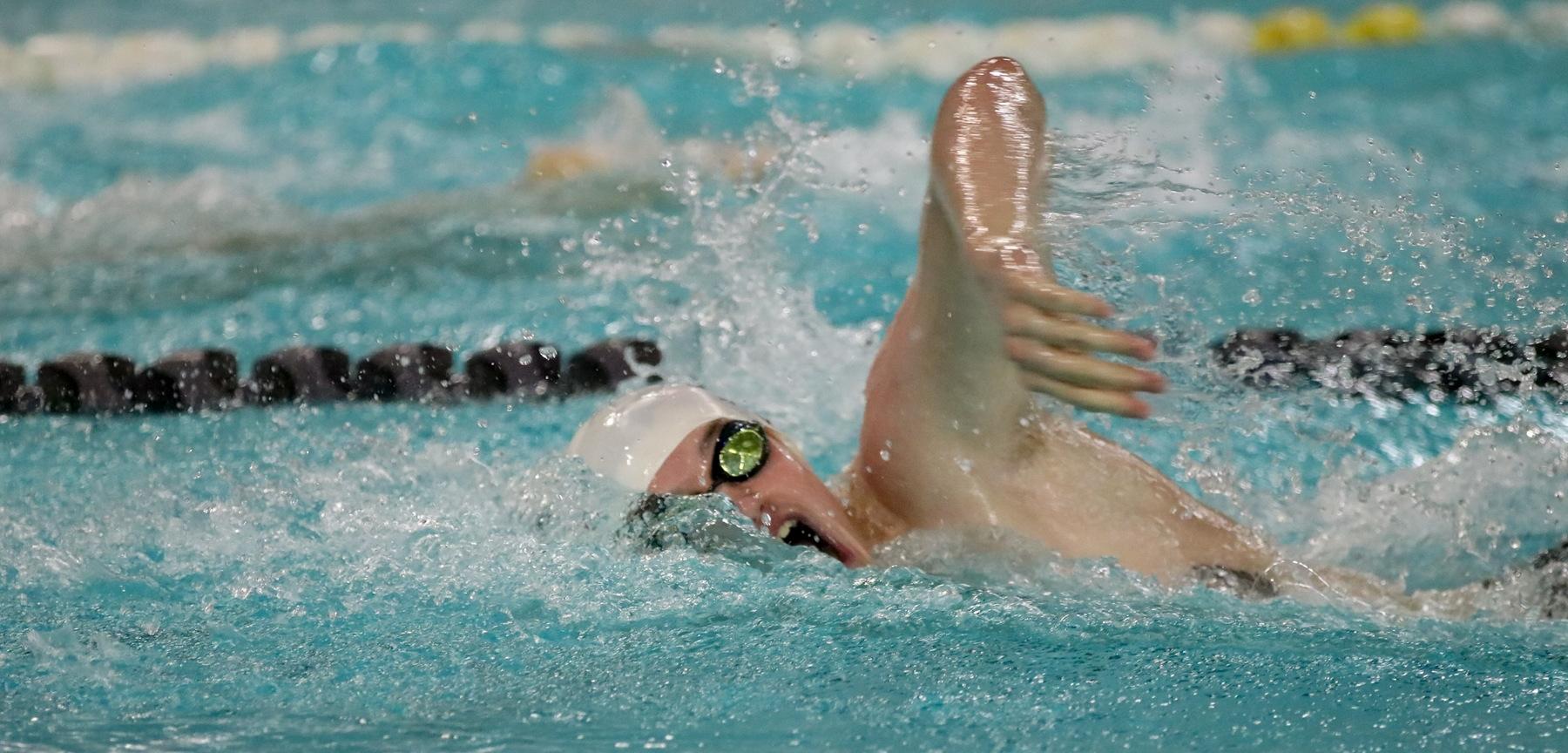 Boys' Swim/Dive: Sectional Preview