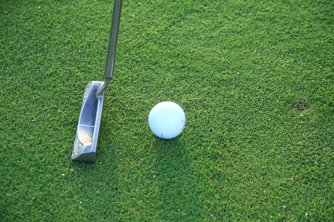 Girls' Golf Swings to a Tie Against Avon