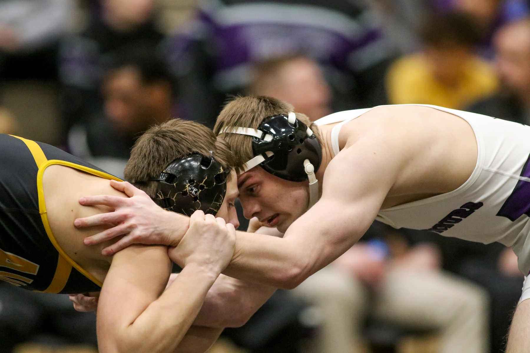 No.3 @BHSDogsWrestlin is runner-up at Semi-State; sends 7 to IHSAA State Finals